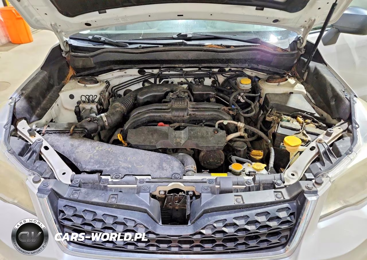 2014 Subaru Forester 2.5I VIN:JF2SJAAC7EG426692 - 11