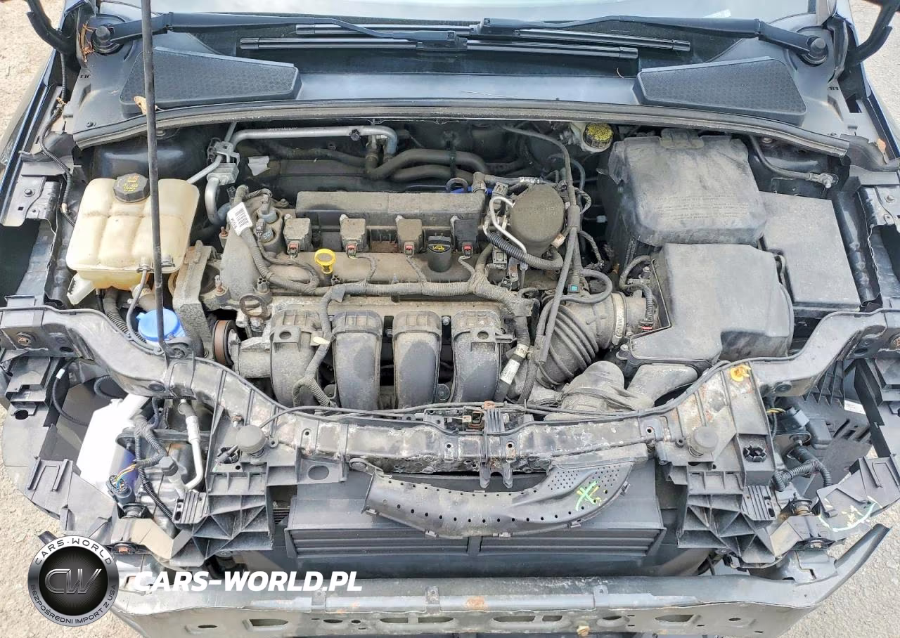 2014 Ford Focus Se VIN:1FADP3F24EL428298 - 11