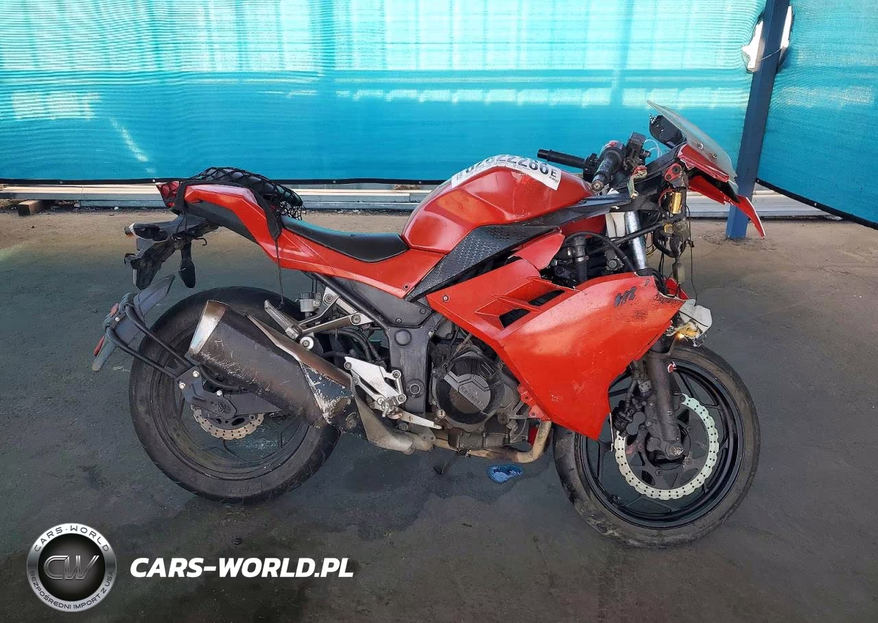2013 Kawasaki Ex300 A – zdjęcie 1 z 9