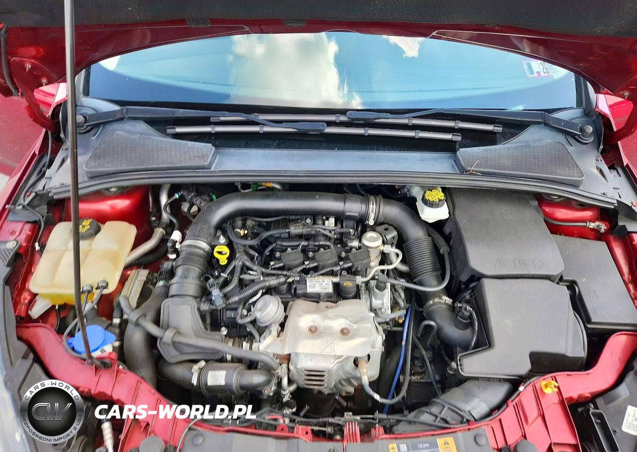 2017 Ford Focus Se VIN:1FADP3FE2HL289531 - 11