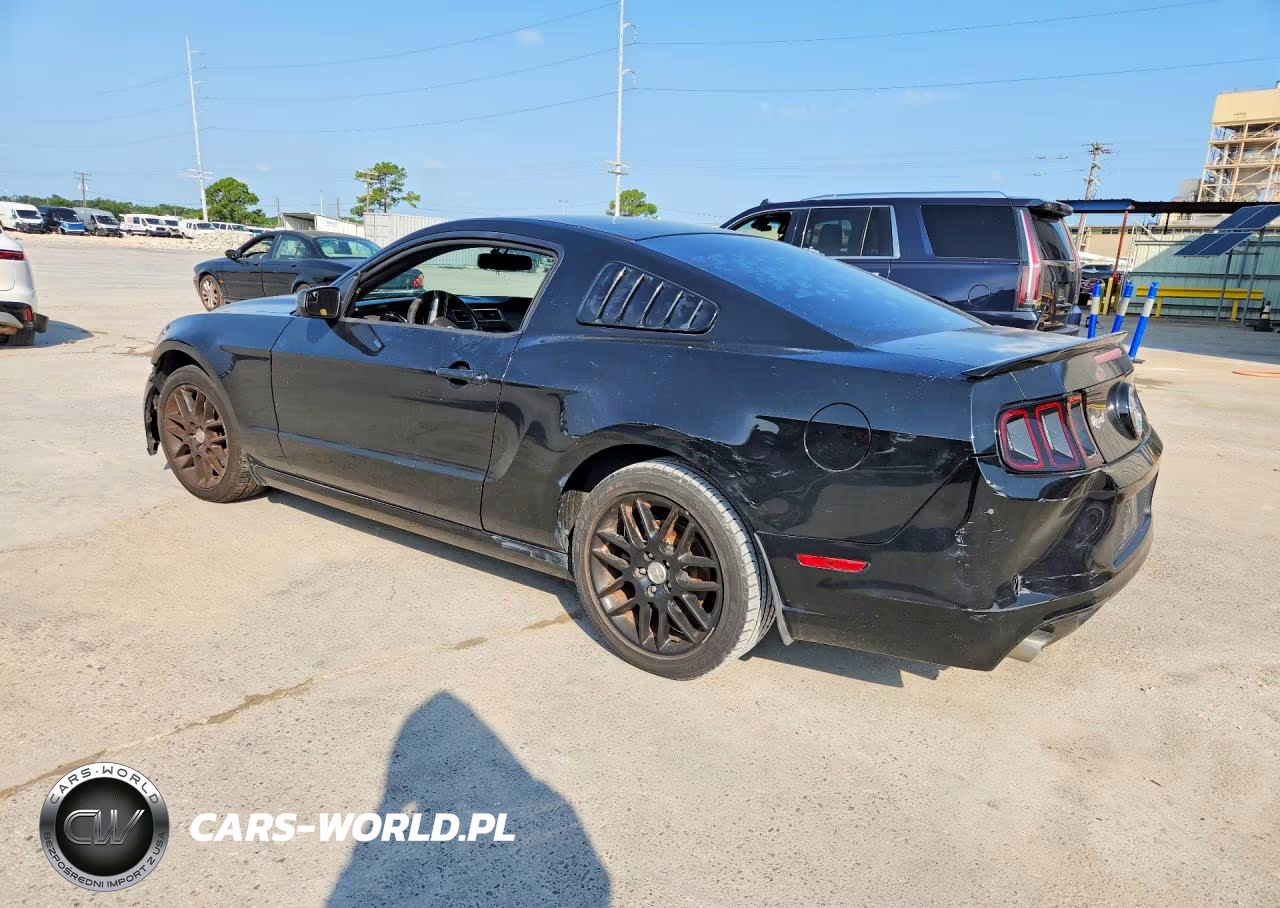 2014 Ford Mustang VIN:1ZVBP8AM6E5308561 - 2