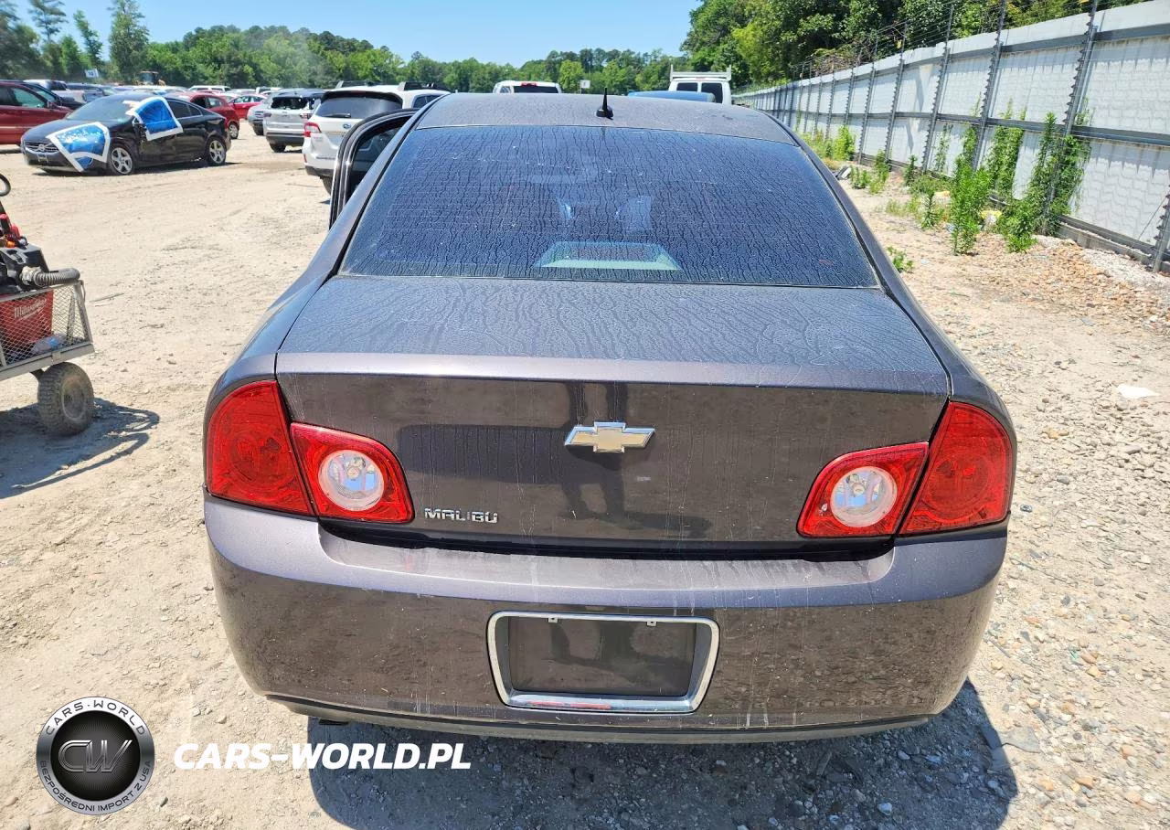 2010 Chevrolet Malibu VIN:1G1ZB5EBXAF313895 - 6