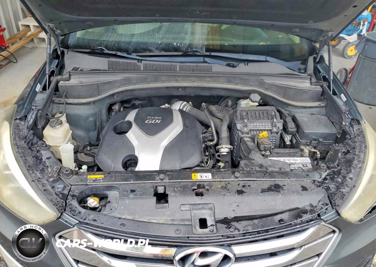 2014 Hyundai Santa Fe Sport 2.0T VIN:5XYZU3LA5EG194253 - 12