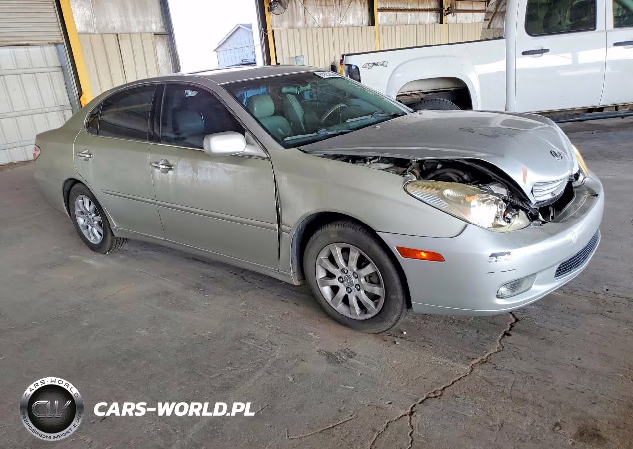 2002 Lexus Es 300 VIN:JTHBF30G920039404 - 4