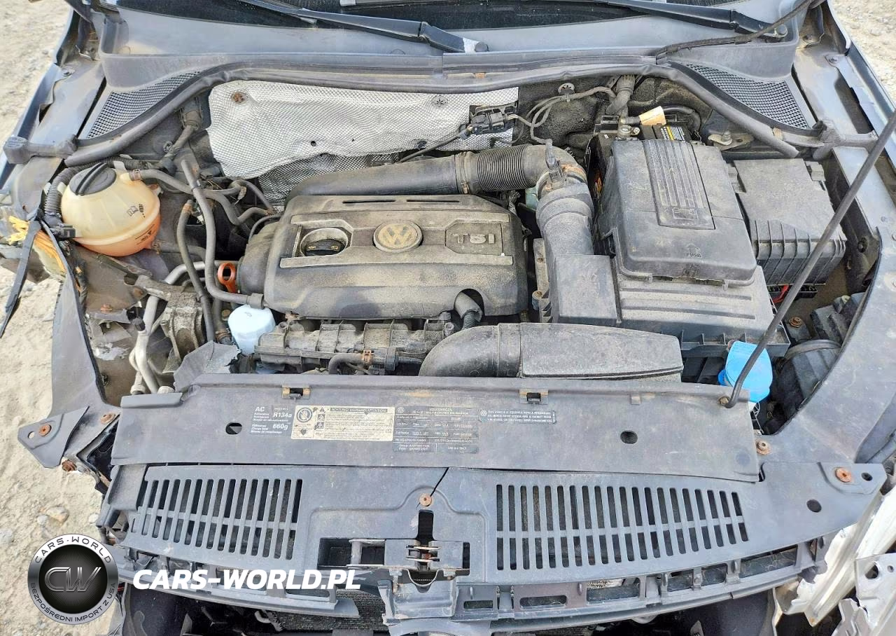 2010 Volkswagen Tiguan Se VIN:WVGBV7AX0AW524449 - 12