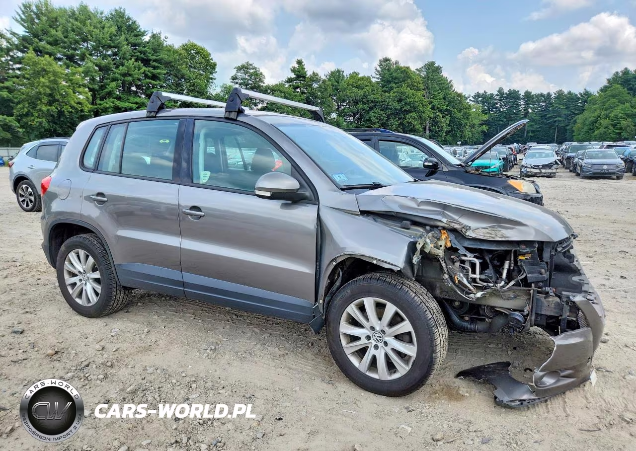 2010 Volkswagen Tiguan Se VIN:WVGBV7AX0AW524449 - 4