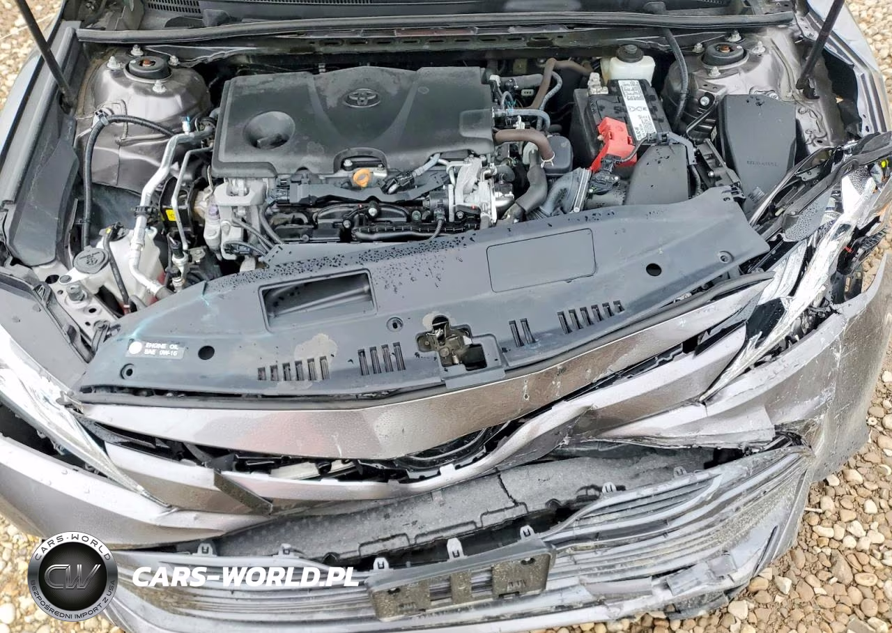 2019 Toyota Camry Xle VIN:4T1B11HK3KU802356 - 11