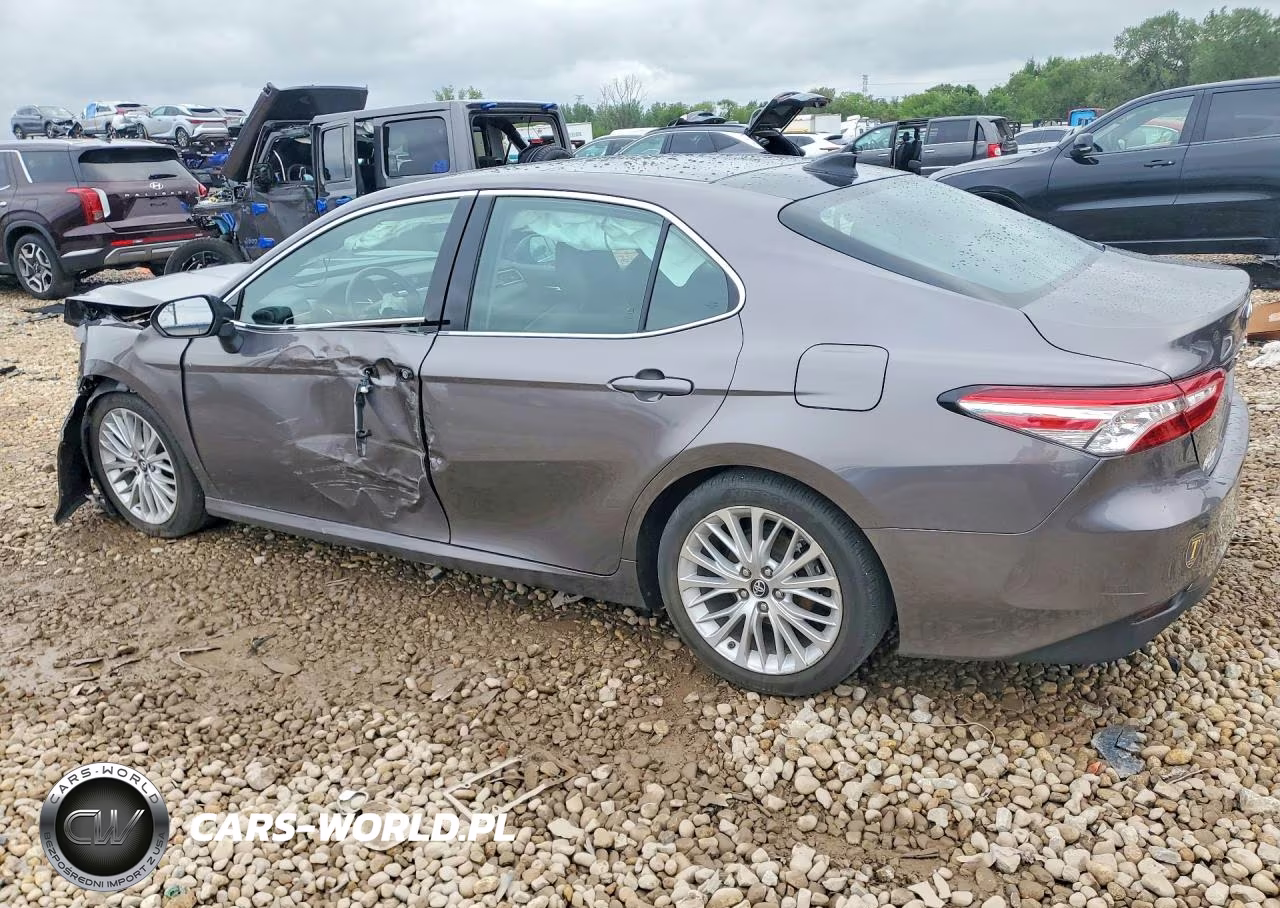 2019 Toyota Camry Xle VIN:4T1B11HK3KU802356 - 2