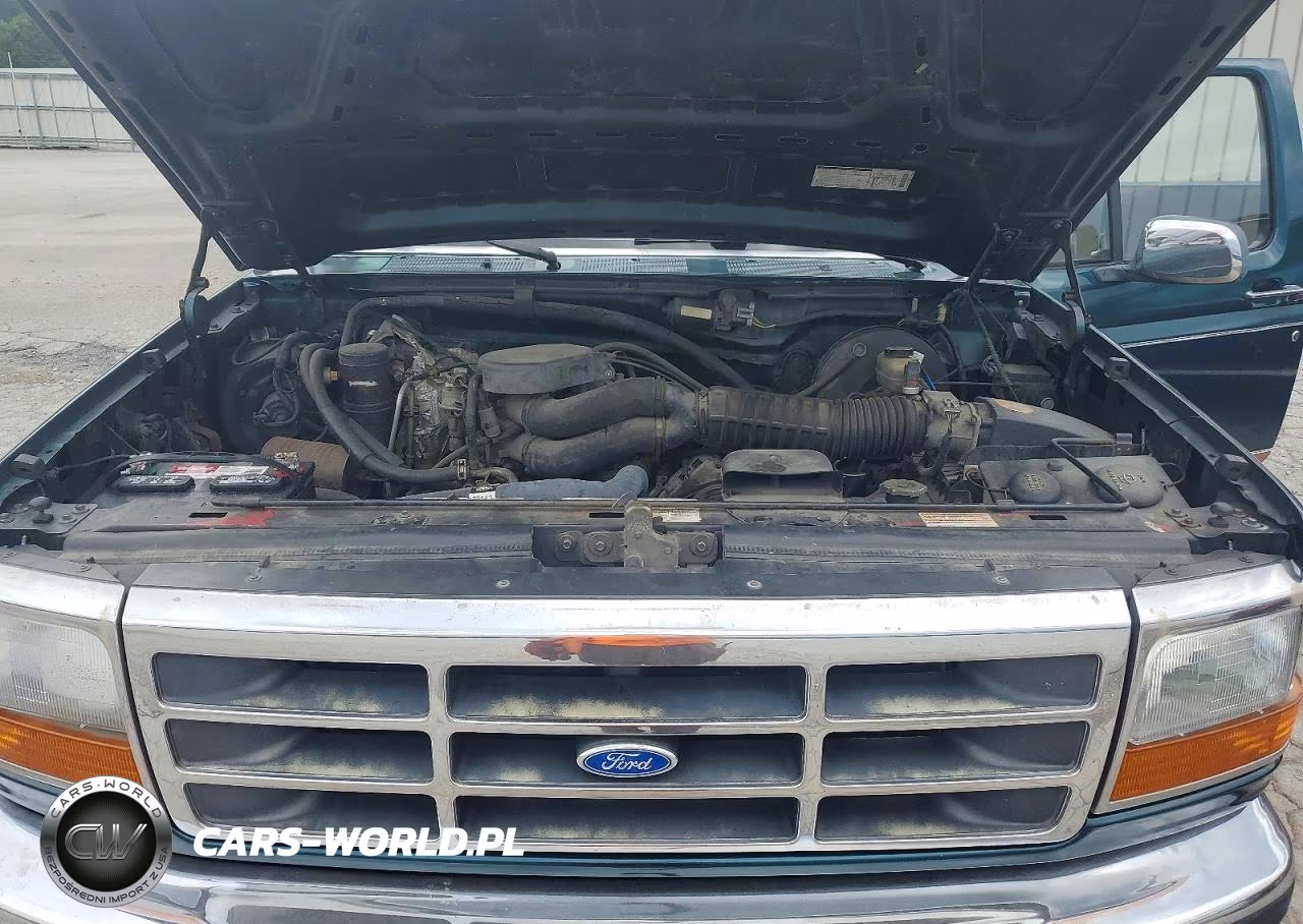1995 Ford F150 VIN:1FTEF14N3SNB06285 - 11