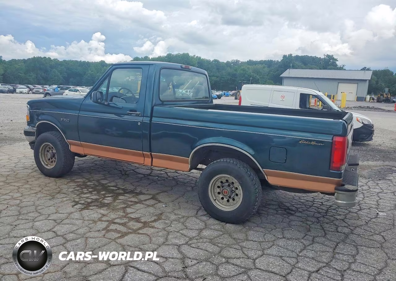 1995 Ford F150 VIN:1FTEF14N3SNB06285 - 2