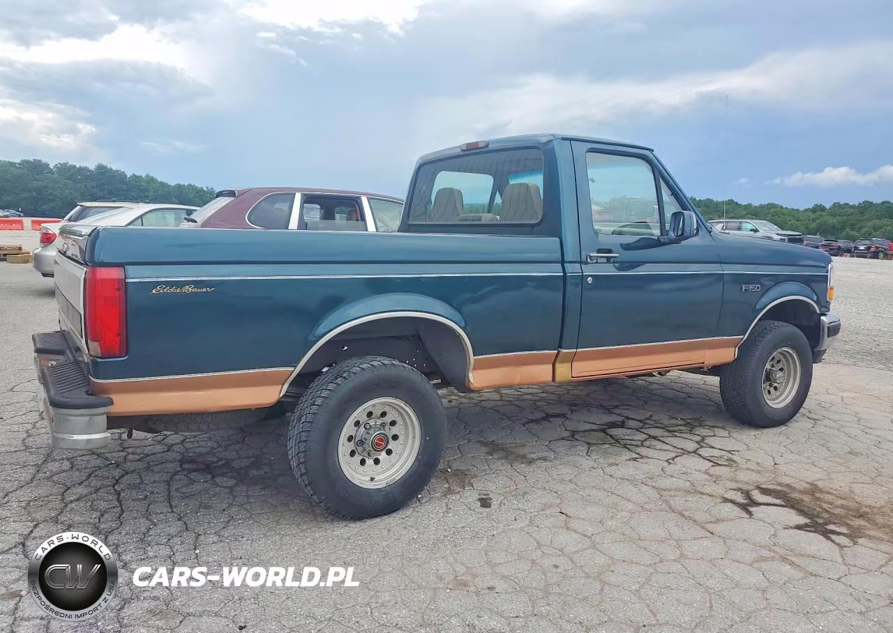 1995 Ford F150 VIN:1FTEF14N3SNB06285 - 3