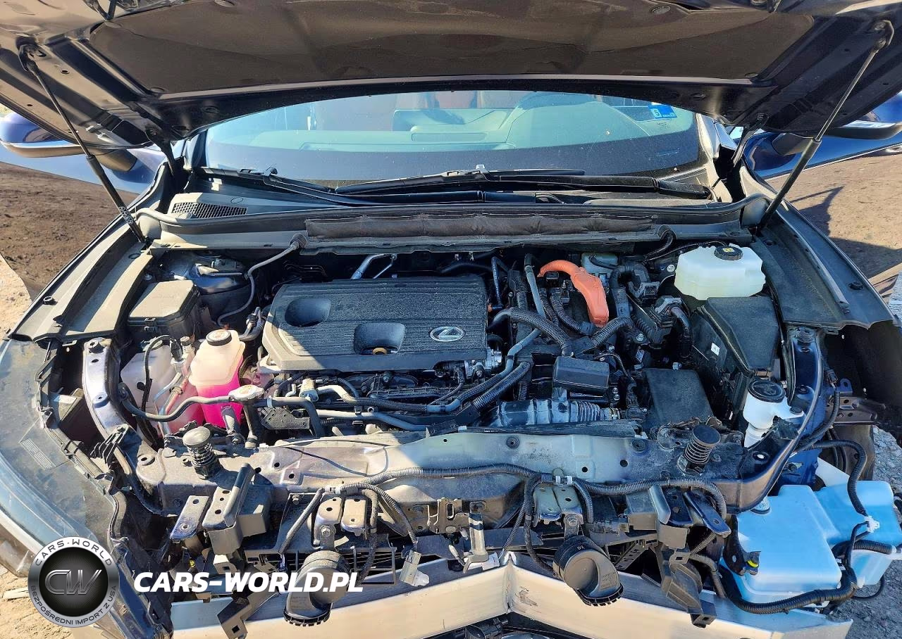 2023 Lexus Rx 350H Premium VIN:2T2BBMCA3PC005719 - 12