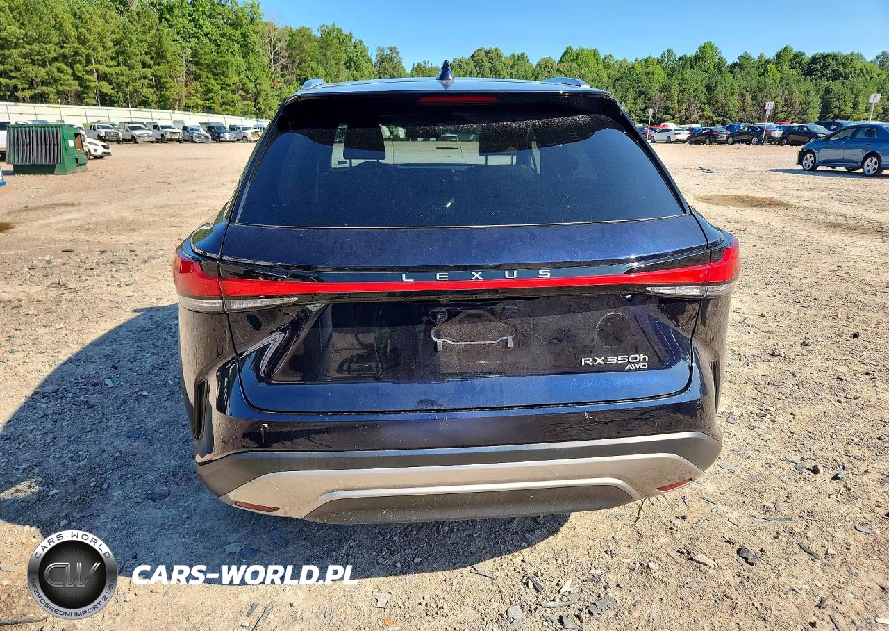 2023 Lexus Rx 350H Premium VIN:2T2BBMCA3PC005719 - 6