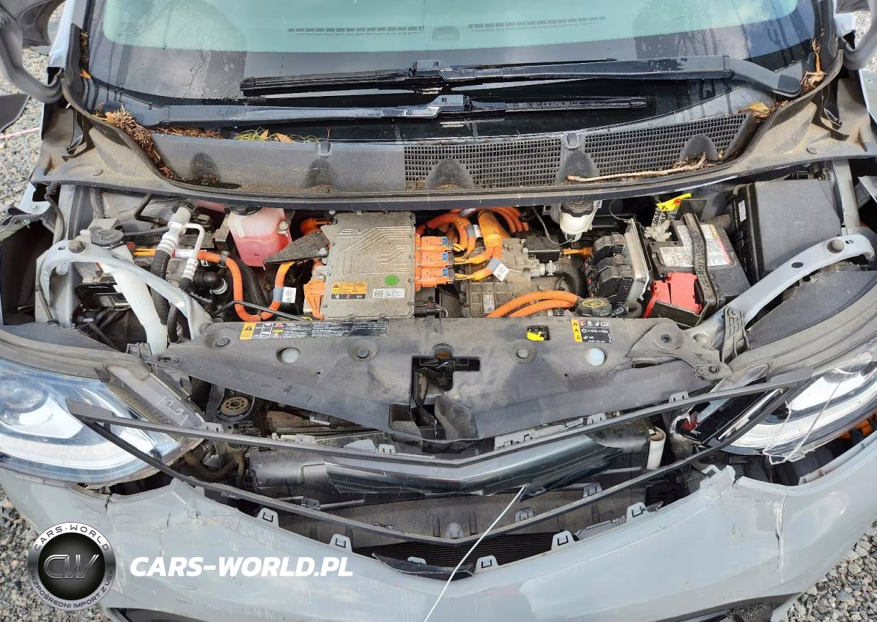 2019 Chevrolet Bolt Ev Premier VIN:1G1FZ6S03K4106849 - 11