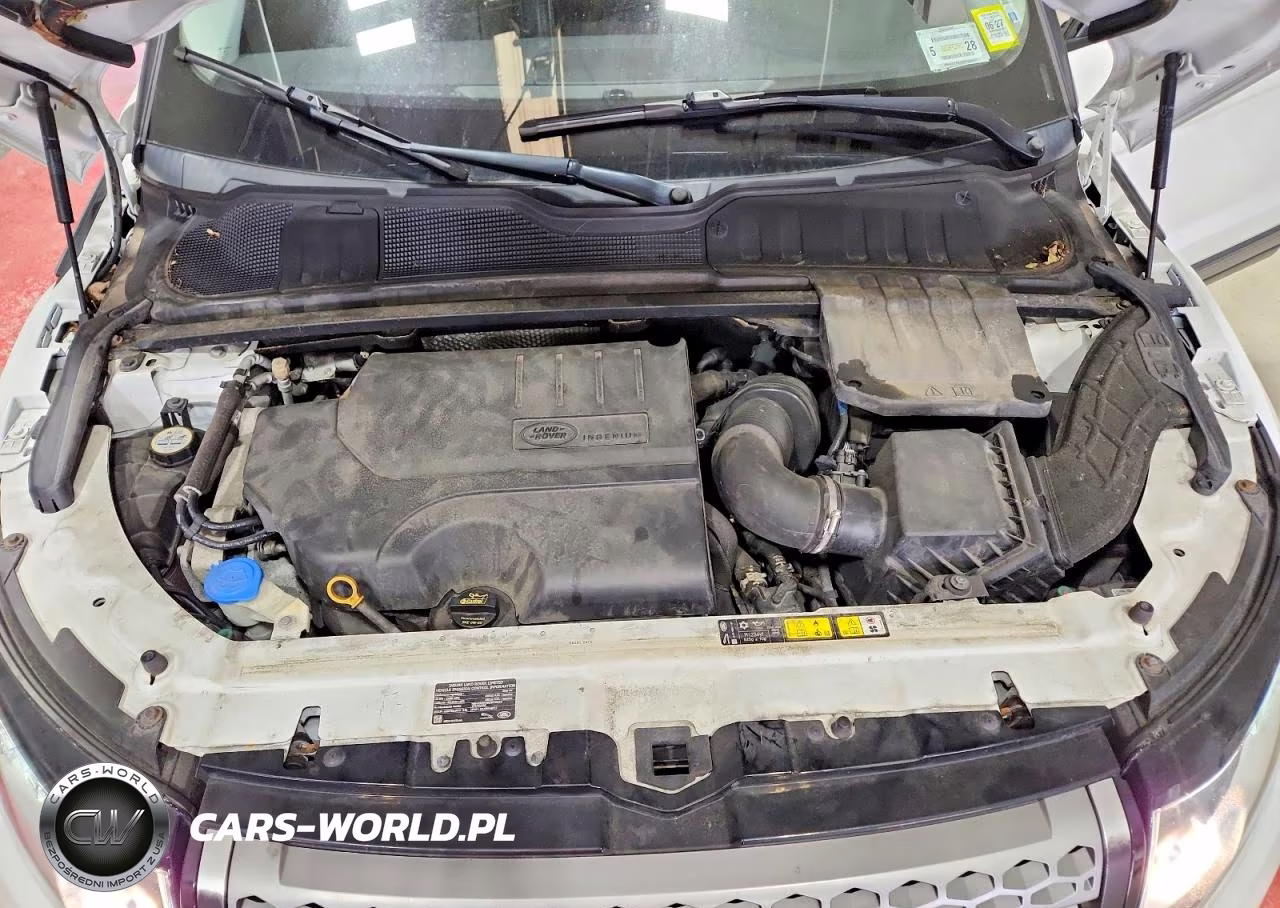 2019 Land Rover Range Rover Evoque Se VIN:SALVP2RX2KH340793 - 12