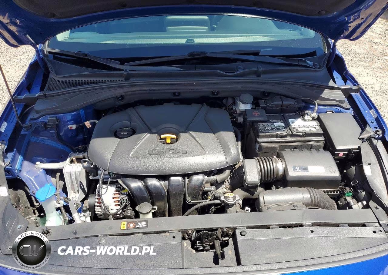 2019 Hyundai Elantra Gt Base VIN:KMHH35LE3KU095157 - 11