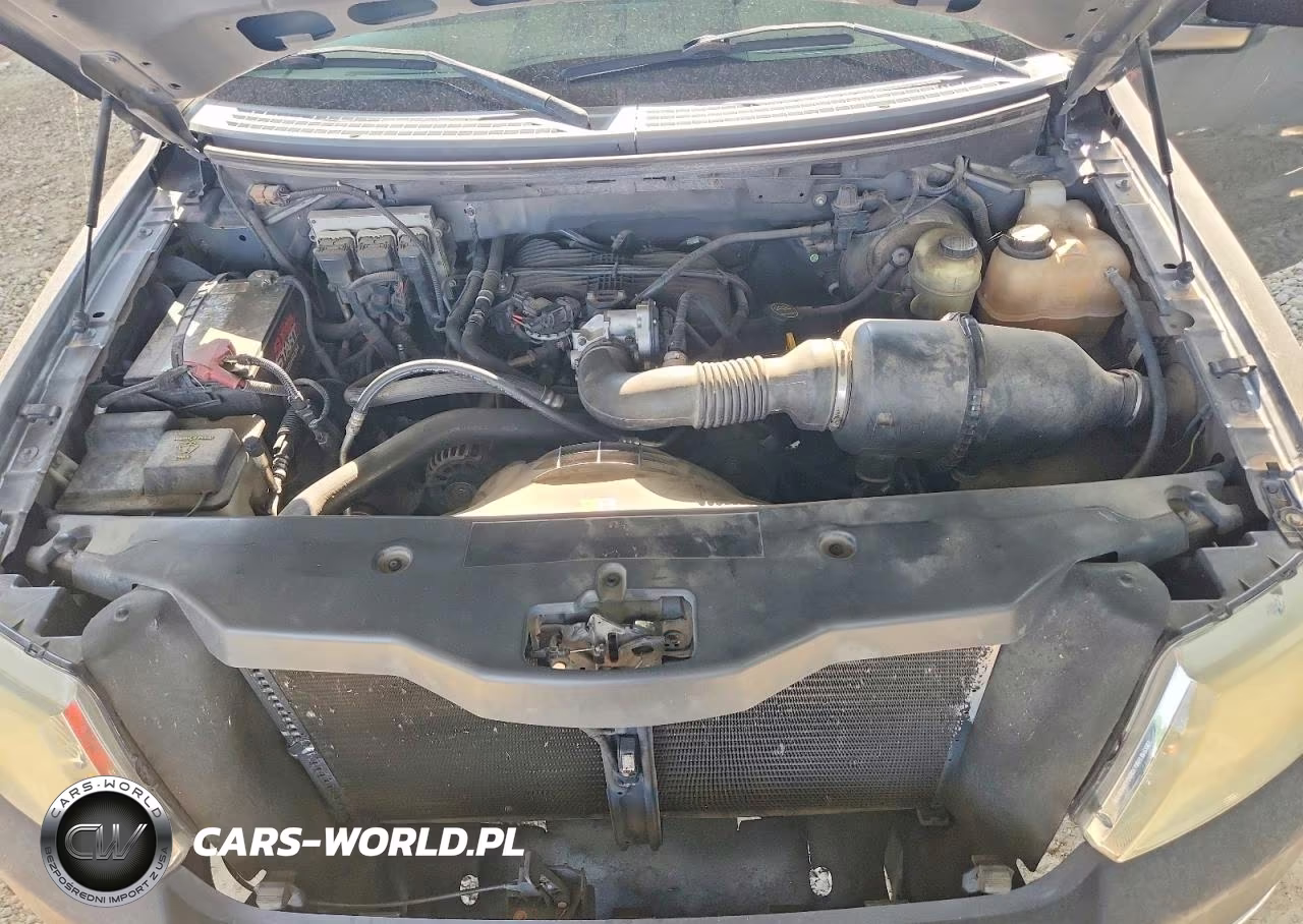 2006 Ford F150 VIN:1FTRF12236KB44018 - 11