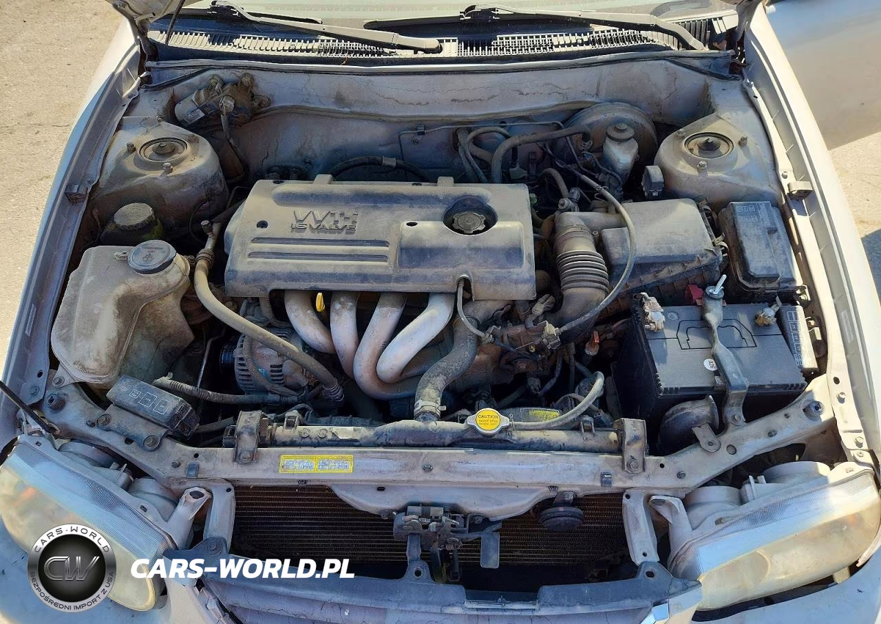 2002 Toyota Corolla Ce VIN:1NXBR12E42Z613016 - 11