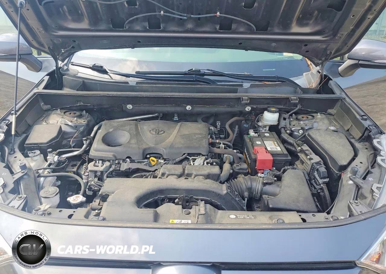 2019 Toyota Rav4 Xle VIN:JTMP1RFVXKD041007 - 12