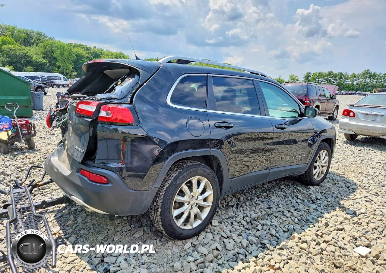 2014 Jeep Cherokee Limited VIN:1C4PJMDS3EW197765 - 3