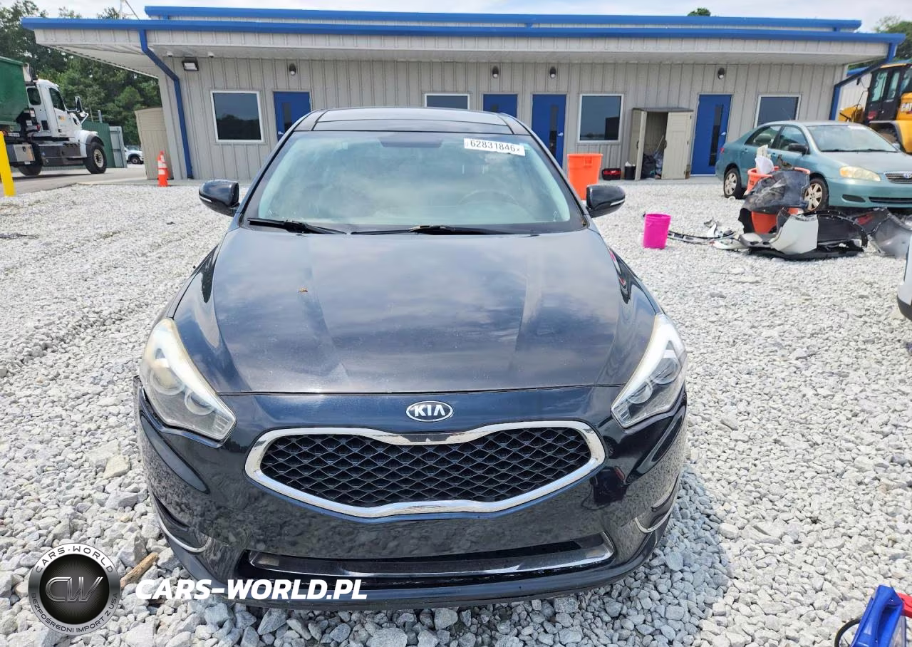 2014 Kia Cadenza Premium VIN:KNALN4D74E5148348 - 5