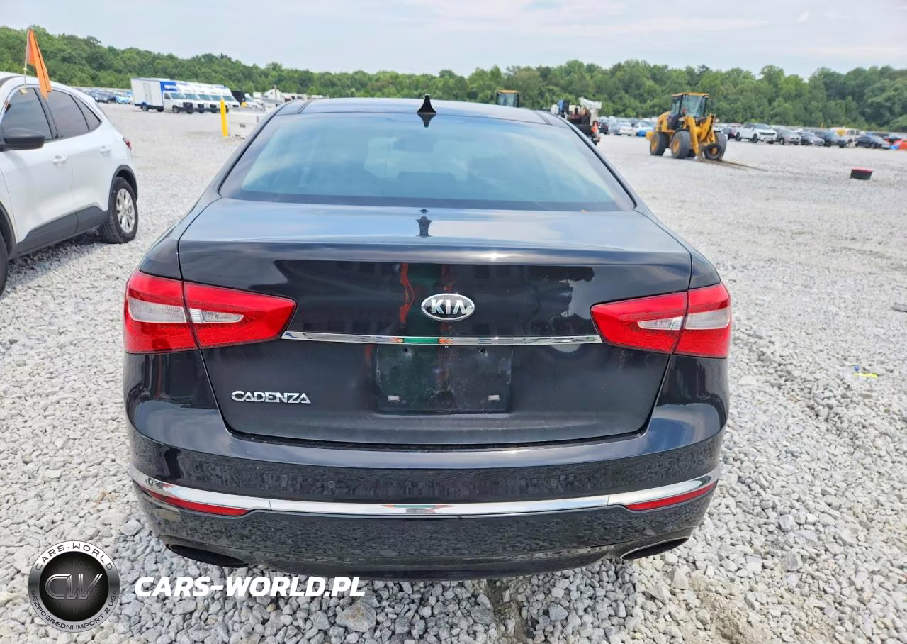 2014 Kia Cadenza Premium VIN:KNALN4D74E5148348 - 6