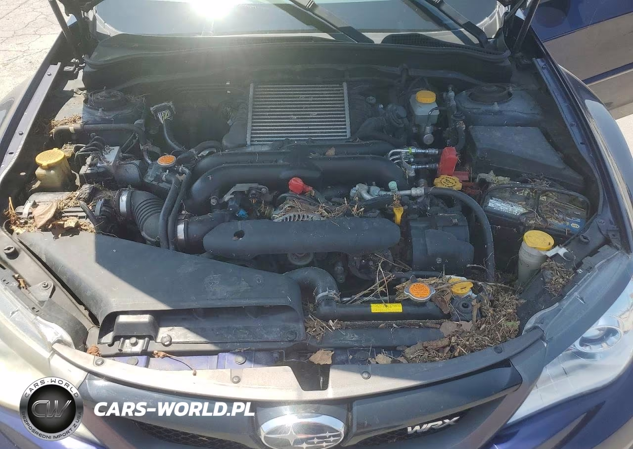 2012 Subaru Impreza Wrx VIN:JF1GV7E64CG030190 - 11