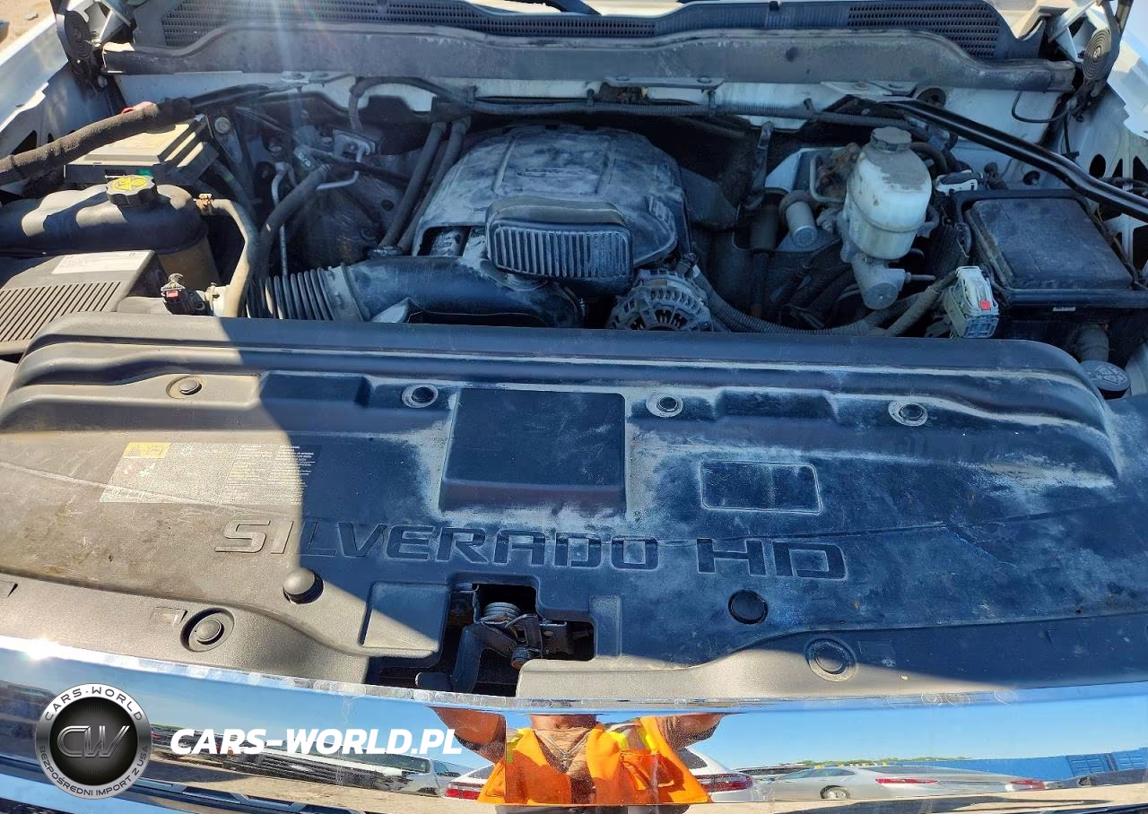 2019 Chevrolet Silverado K2500 Heavy Duty VIN:2GC2KREG2K1164628 - 11