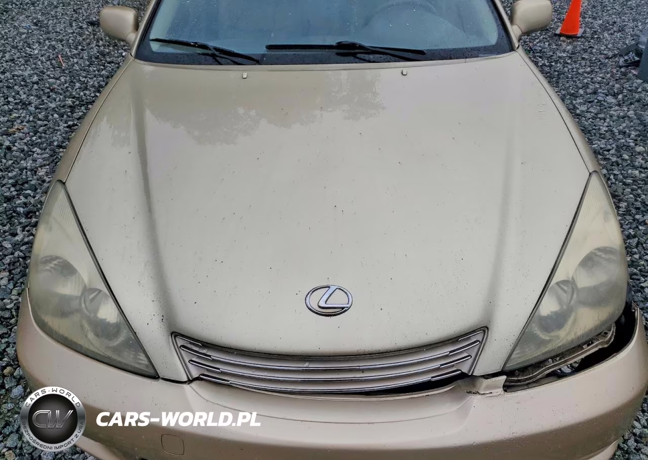 2003 Lexus Es 300 VIN:JTHBF30G530122359 - 11