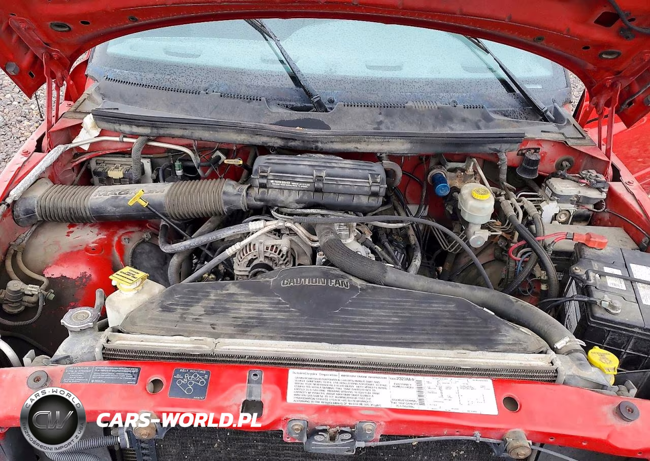 2000 Dodge Ram VIN:3B7MC3654YM209425 - 12