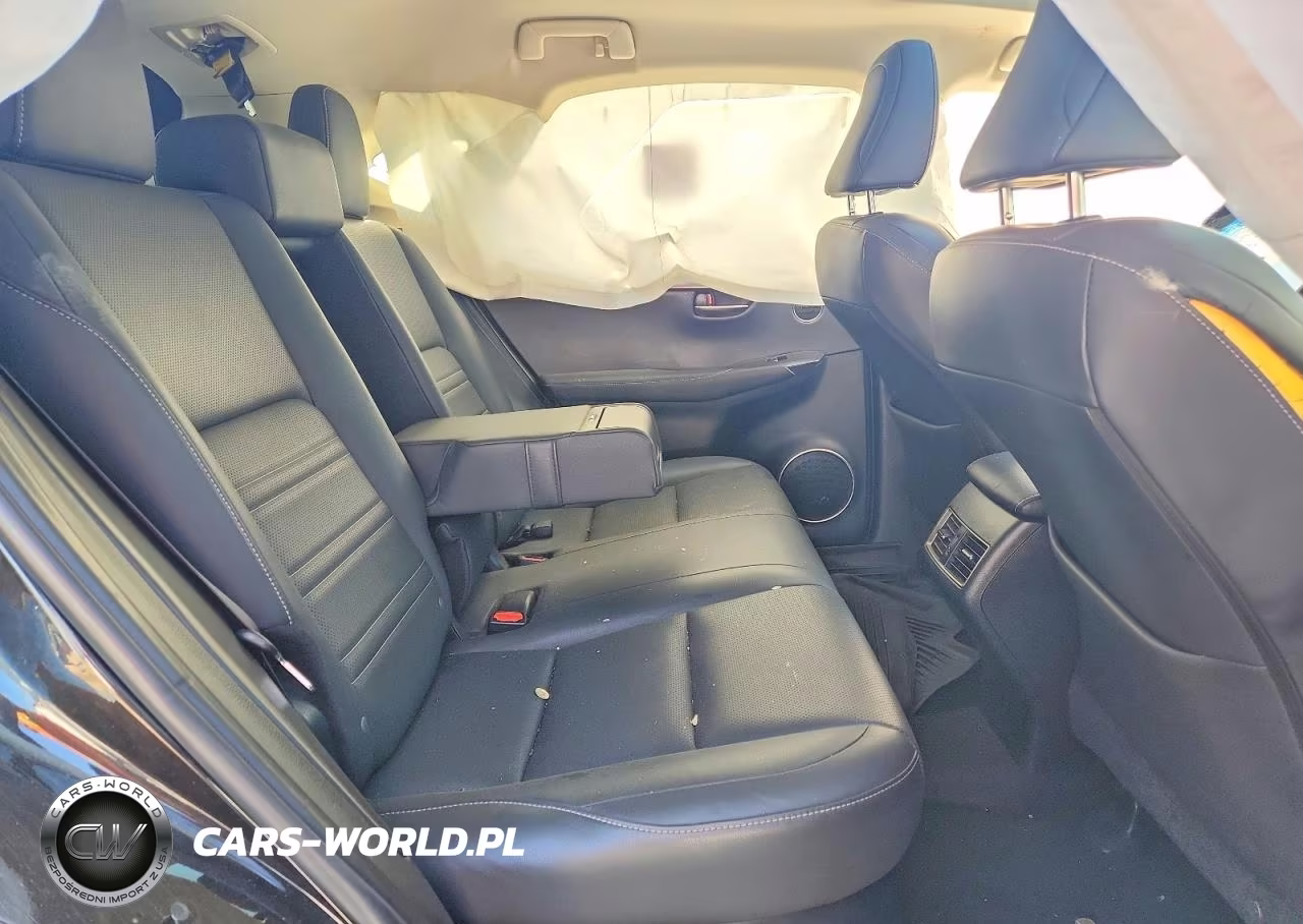 2018 Lexus Nx 300 Base VIN:JTJBARBZ8J2161687 - 10