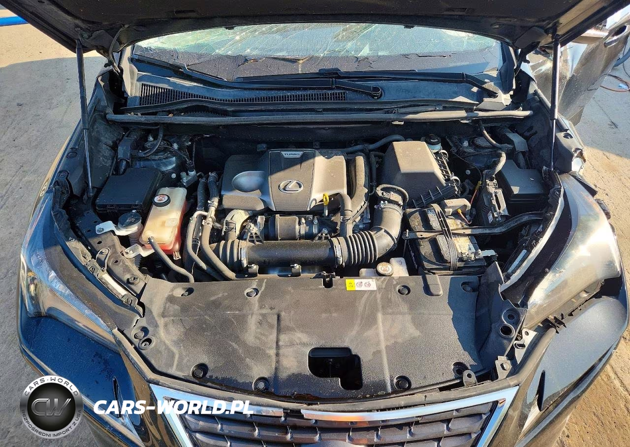2018 Lexus Nx 300 Base VIN:JTJBARBZ8J2161687 - 11
