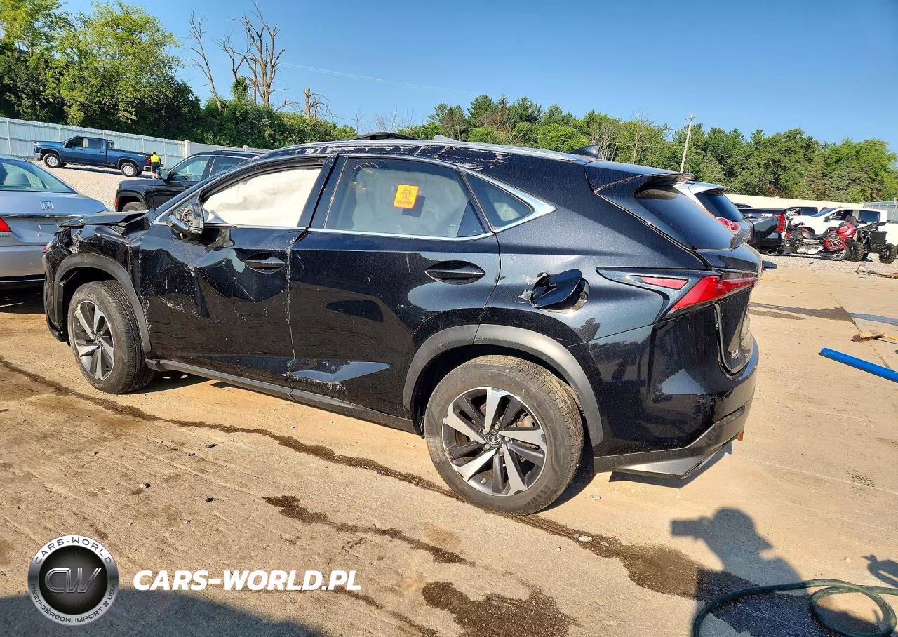 2018 Lexus Nx 300 Base VIN:JTJBARBZ8J2161687 - 2