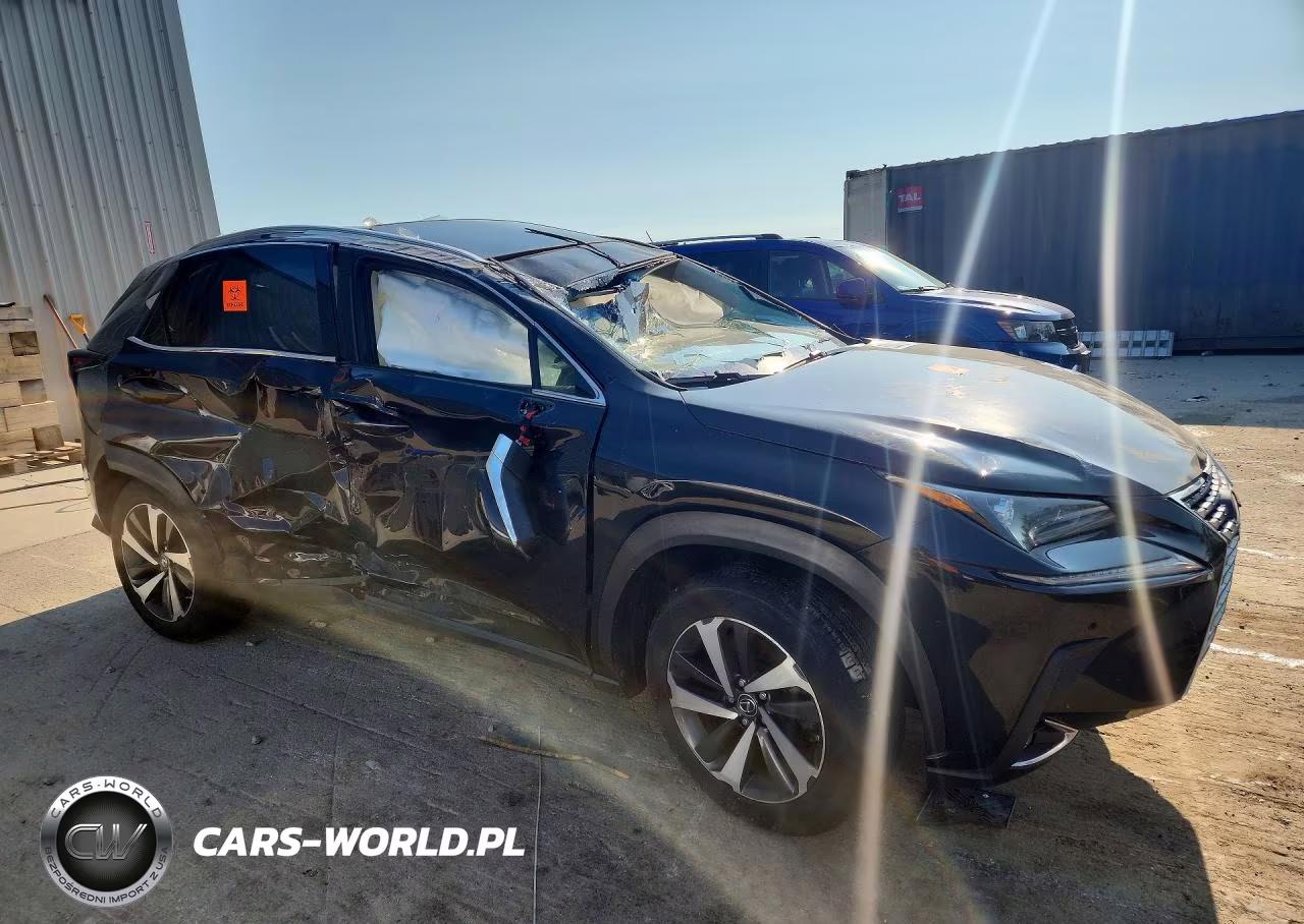 2018 Lexus Nx 300 Base VIN:JTJBARBZ8J2161687 - 4