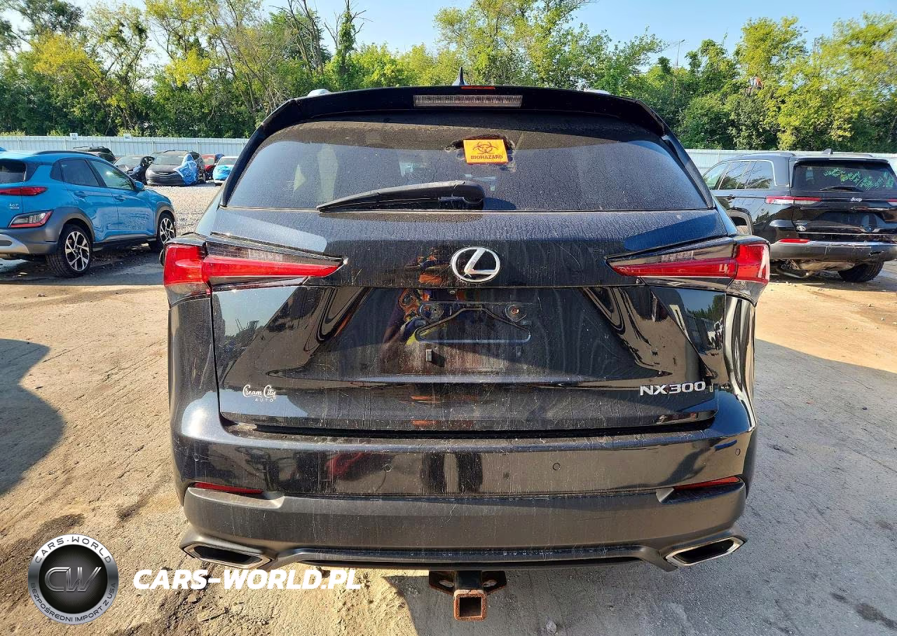 2018 Lexus Nx 300 Base VIN:JTJBARBZ8J2161687 - 6