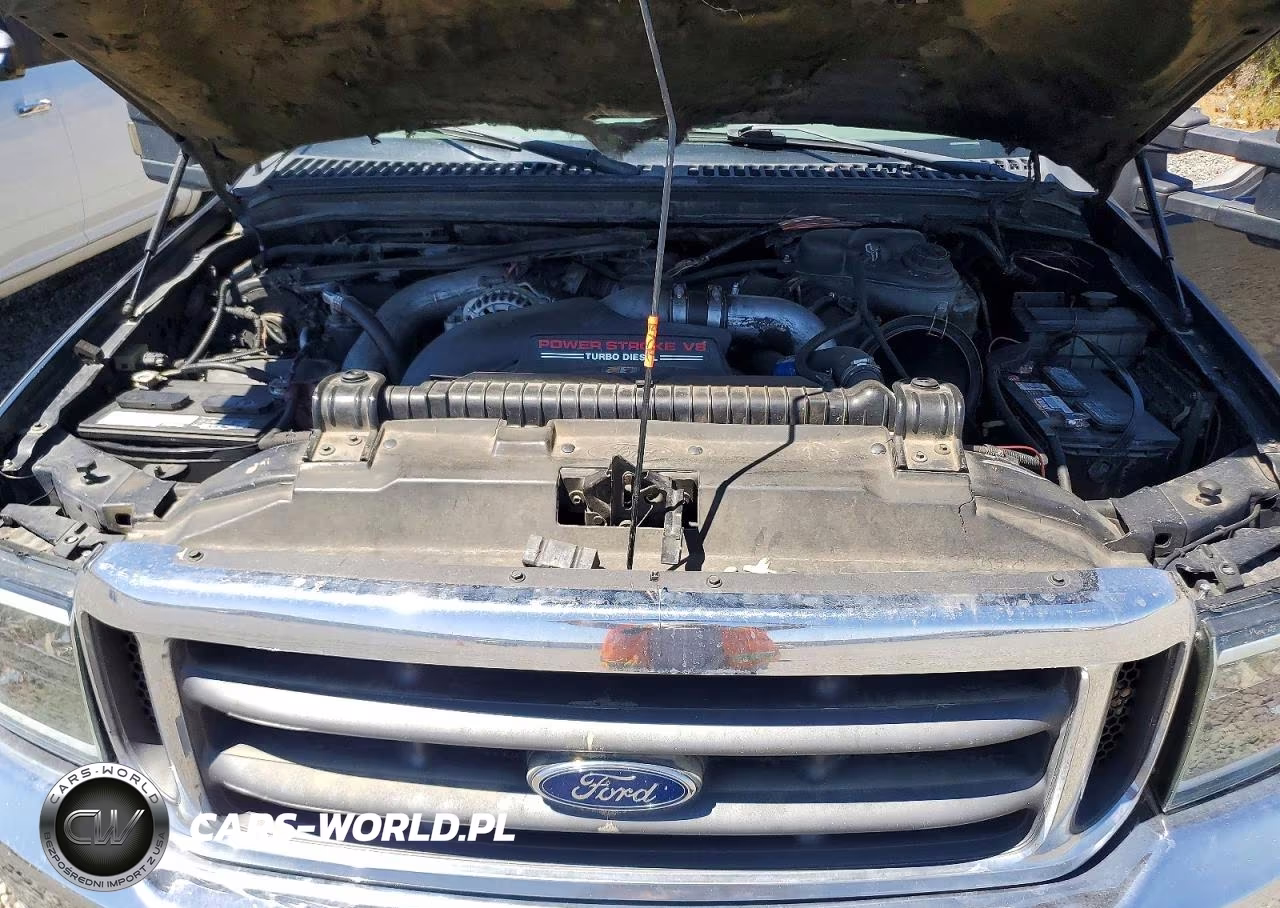 2003 Ford F350 Srw Super Duty VIN:1FTSW31P63ED13839 - 11