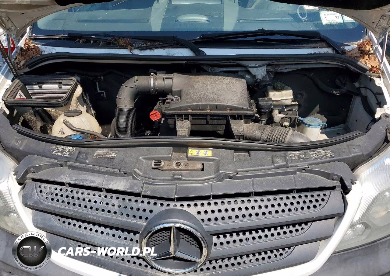 2016 Mercedes-Benz Sprinter 2500 VIN:WD3PE8DD4GP182938 - 12