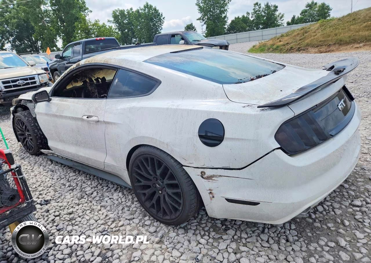 2015 Ford Mustang Gt VIN:1FA6P8CF4F5368350 - 2