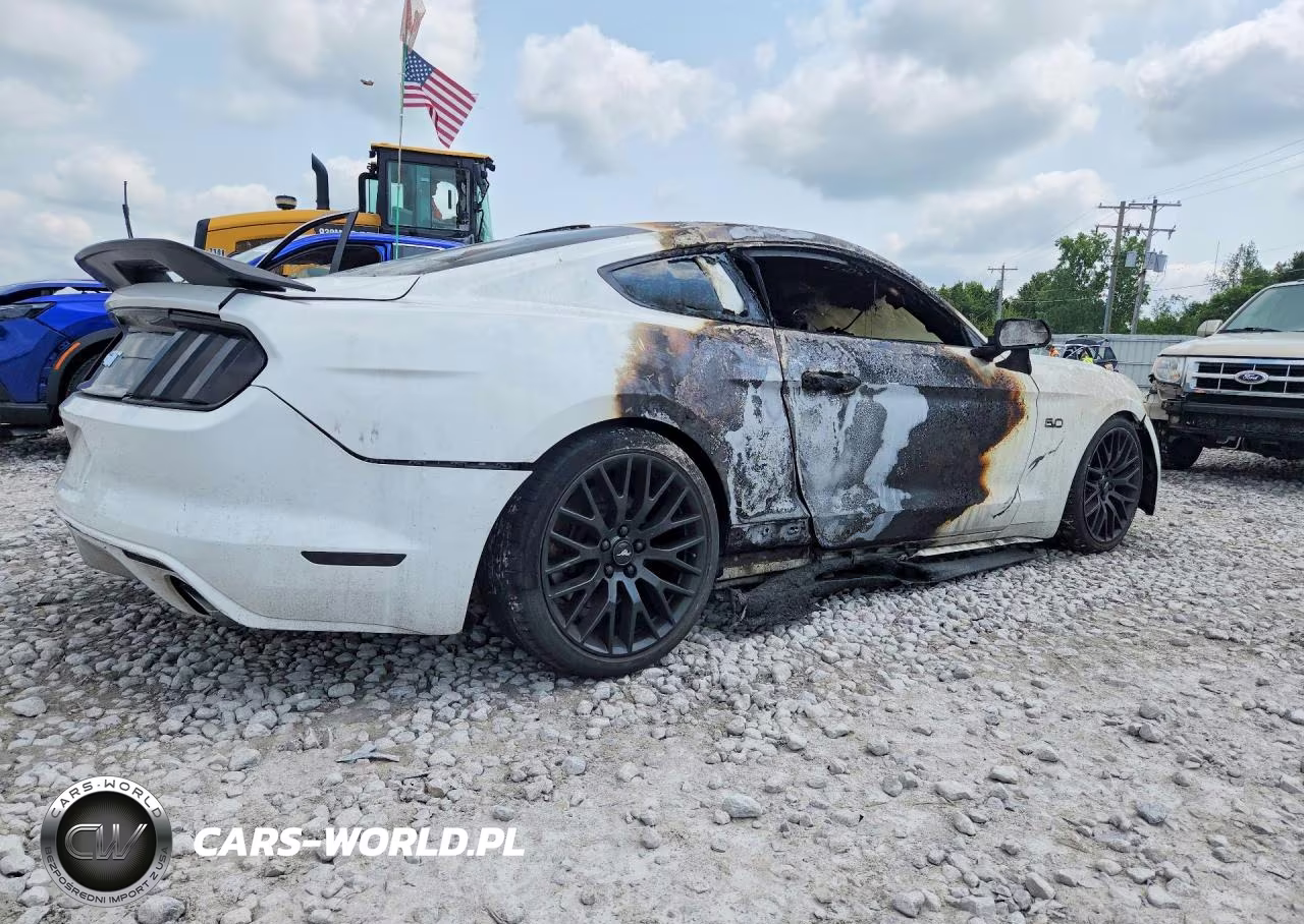 2015 Ford Mustang Gt VIN:1FA6P8CF4F5368350 - 3