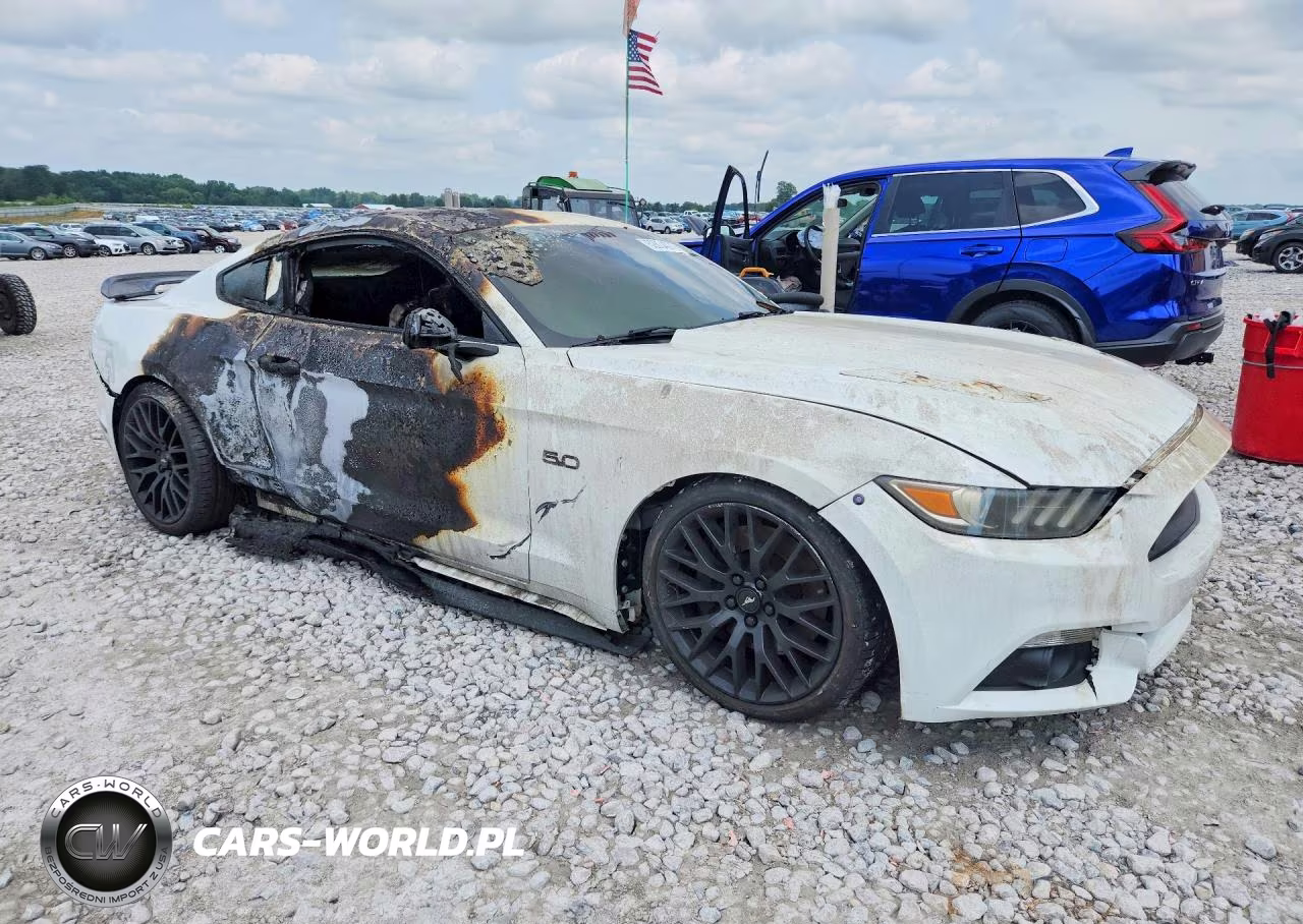 2015 Ford Mustang Gt VIN:1FA6P8CF4F5368350 - 4