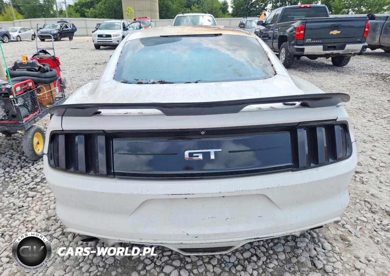 2015 Ford Mustang Gt VIN:1FA6P8CF4F5368350 - 6