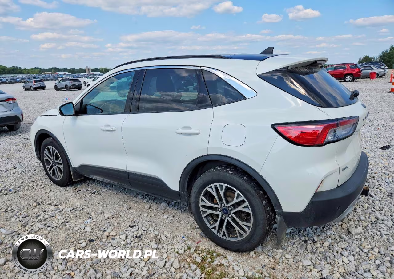2022 Ford Escape Sel VIN:1FMCU9CZXNUA09185 - 2