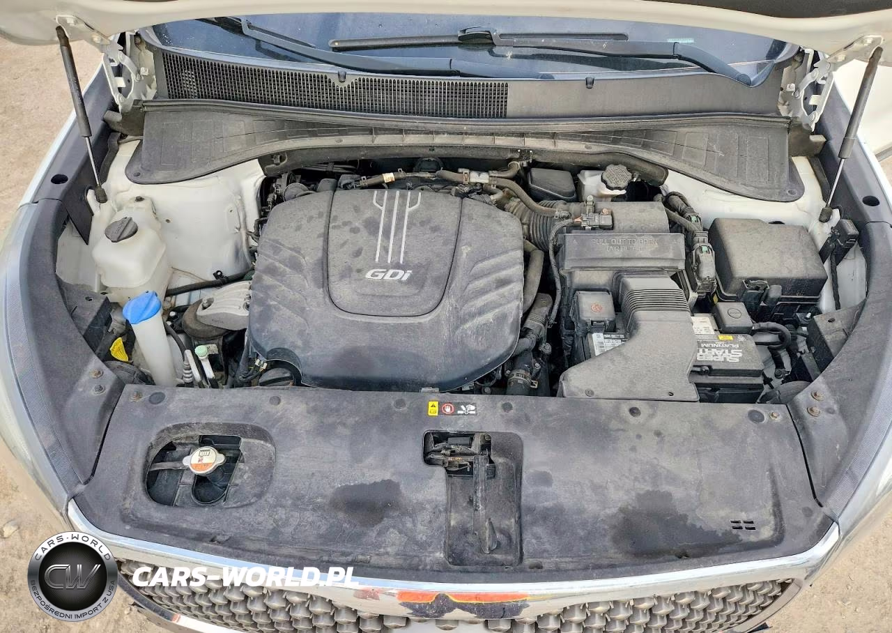 2018 Kia Sorento Sx Limited V6 VIN:5XYPKDA54JG388369 - 12