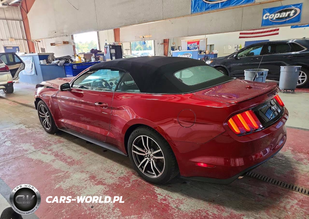 2016 Ford Mustang VIN:1FATP8UH0G5231930 - 2