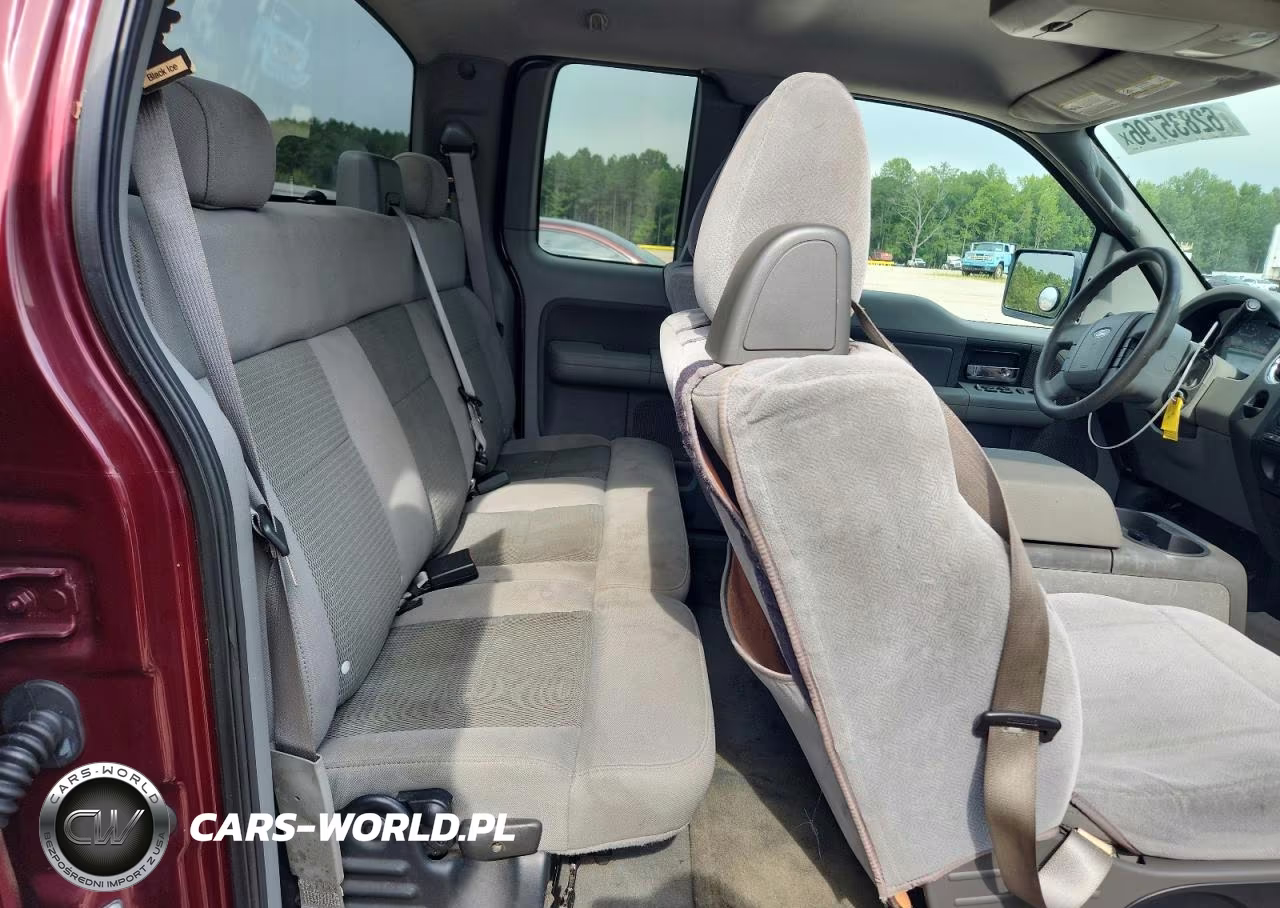 2005 Ford F150 VIN:1FTRX12W95NA10191 - 10