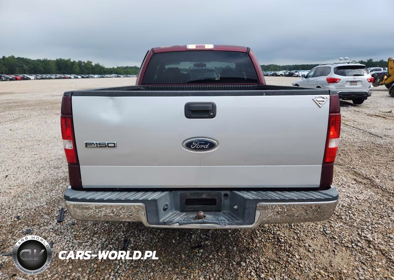2005 Ford F150 VIN:1FTRX12W95NA10191 - 6