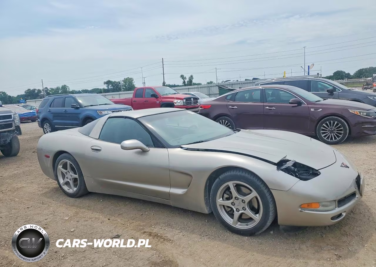 2002 Chevrolet Corvette VIN:1G1YY22G625103875 - 4