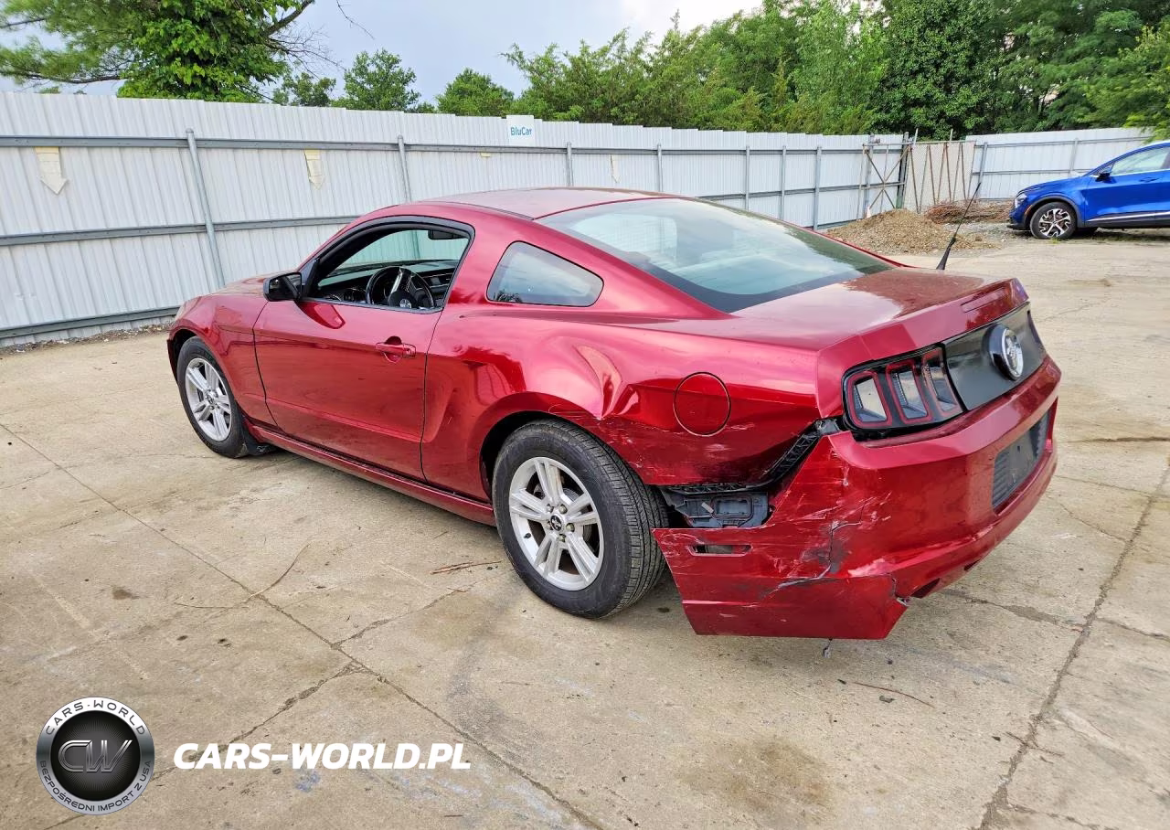 2014 Ford Mustang VIN:1ZVBP8AM4E5245721 - 2