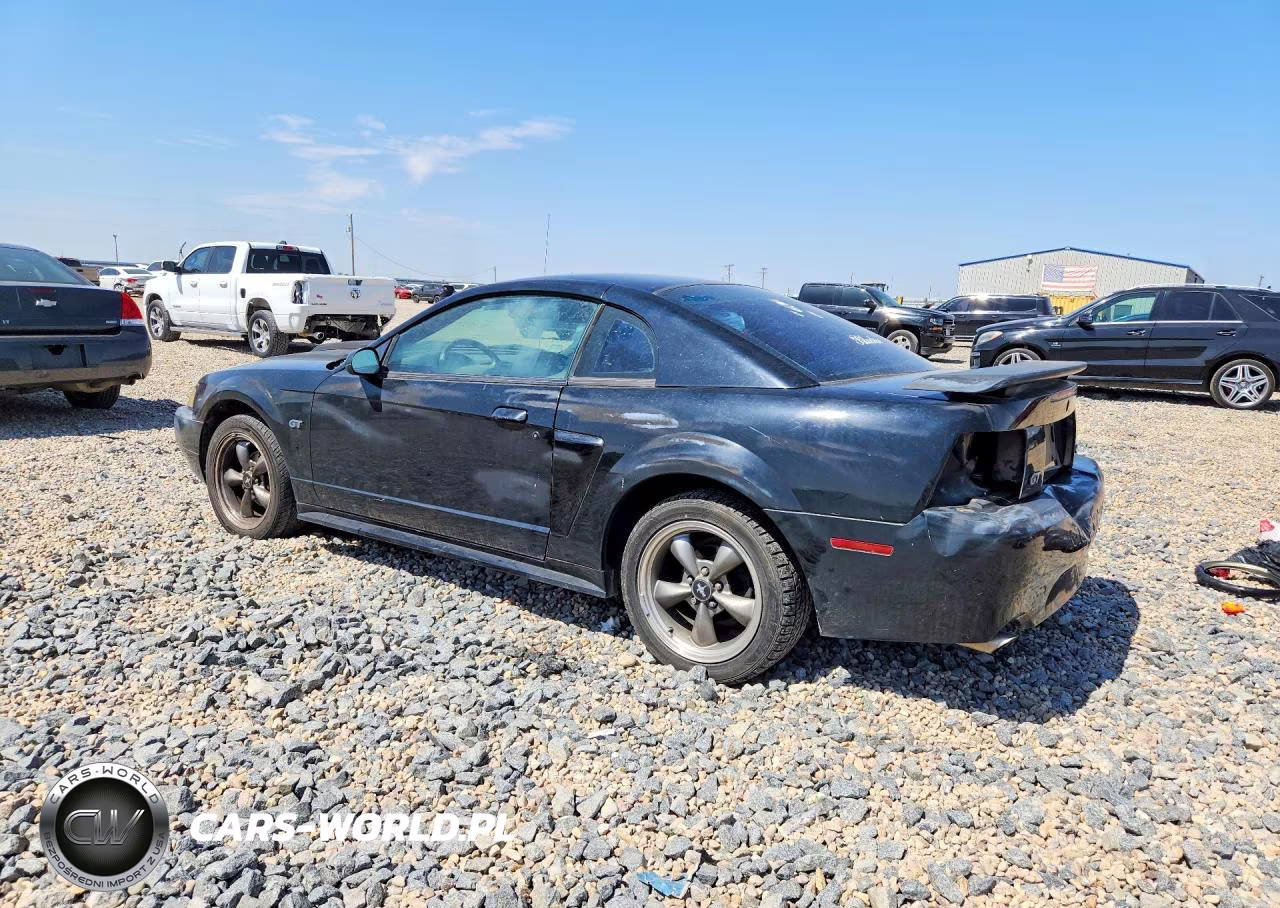 2003 Ford Mustang Gt VIN:1FAFP42X33F377503 - 2