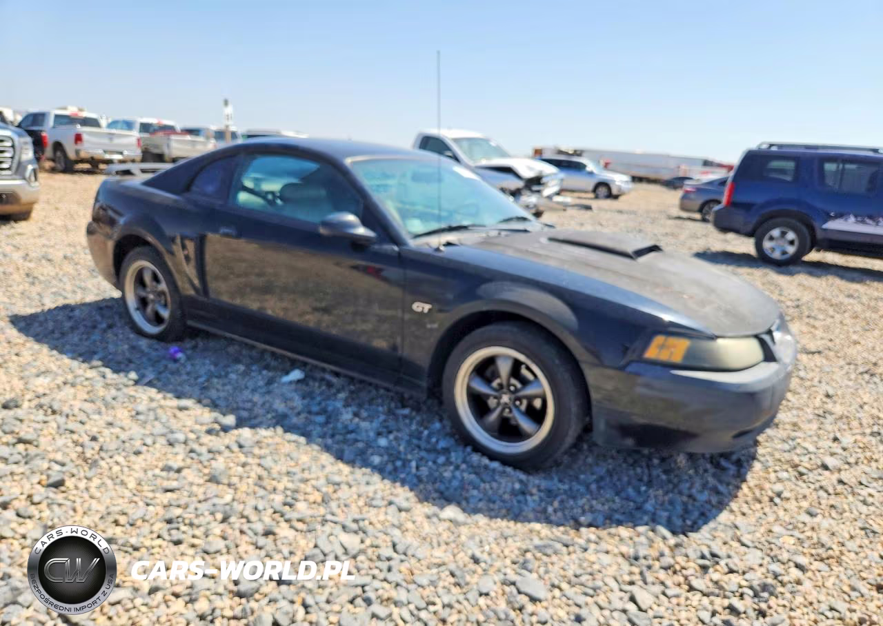 2003 Ford Mustang Gt VIN:1FAFP42X33F377503 - 4